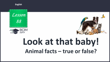 №088 - Look at that baby! Animal facts – true or false? Comparatives