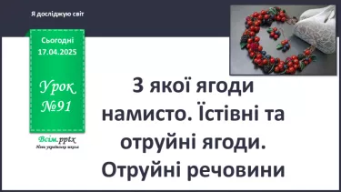 №0091 - З якої ягоди намисто