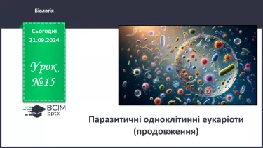 №15 - Паразитичні одноклітинні еукаріоти (продовження)