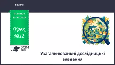 №12 - Узагальнювальні дослідницькі завдання.