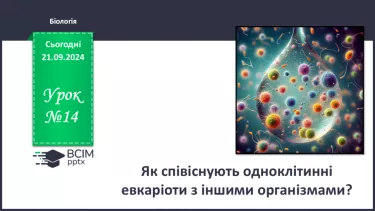 №14 - Як співіснують одноклітинні евкаріоти з іншими організмами?