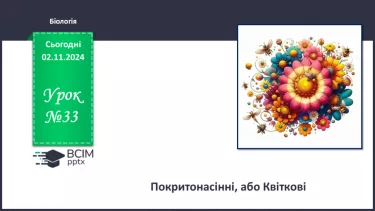 №33 - Покритонасінні, або Квіткові.