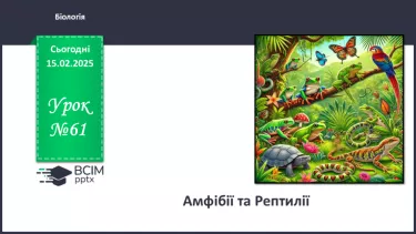 №61 - Амфібії та Рептилії. №61 - Амфібії та Рептилії.