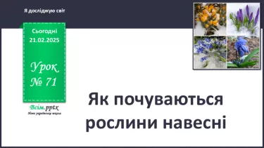 №0071 - Як почуваються рослини навесні