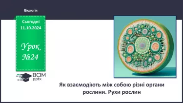 №24 - Як взаємодіють між собою різні органи рослини. Рухи рослин.