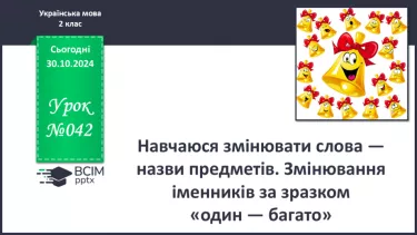 №042 - Навчаюся змінювати слова — назви предметів. Змінювання іменників за зразком «один — багато».