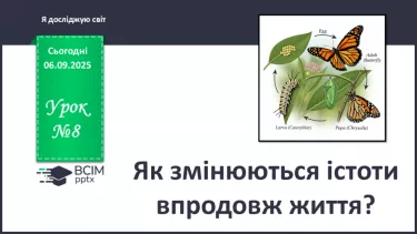 №0008 - Як змінюються істоти впродовж життя? №0008 - Як змінюються істоти впродовж життя?
