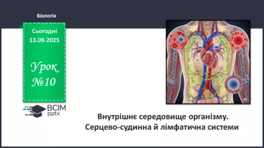 №010 - Внутрішнє середовище організму. Серцево-судинна й лімфатична нна системи. №010 - Внутрішнє середовище організму. Серцево-судинна й лімфатична нна системи.