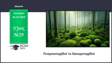 №29 - Плауноподібні та Хвощеподібні.