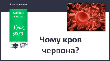 №033 - Чому кров червона?