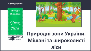 №078 - Природні зони України. Мішані та широколисті ліси.
