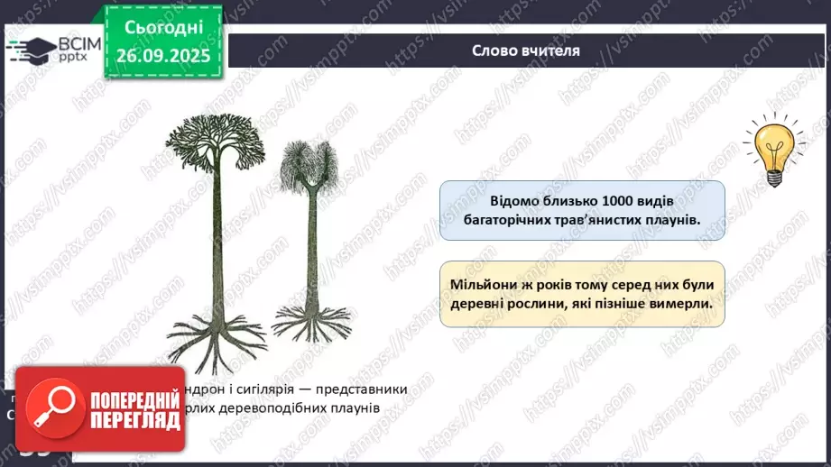 №017 - Вищі спорові рослини: мохи та плауни. Їхнє значення в екосистемах і використання26 №017 - Вищі спорові рослини: мохи та плауни. Їхнє значення в екосистемах і використання26