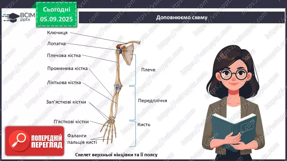 №008 - Узагальнення вивченого з теми: «Рух як властивість живого. Будова та функції опорно-рухової системи людини».21 №008 - Узагальнення вивченого з теми: «Рух як властивість живого. Будова та функції опорно-рухової системи людини».21