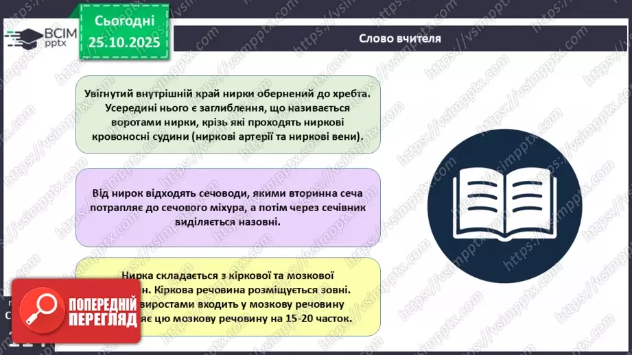 №029 - Будова й функції сечовидільної системи людини. Сечоутворення.5 №029 - Будова й функції сечовидільної системи людини. Сечоутворення.5