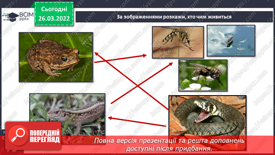 №080 - Лісостеп. Степ20 №080 - Лісостеп. Степ20