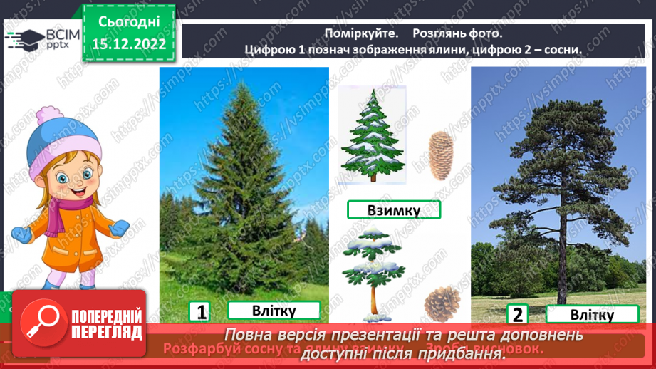 №0052 - Листяні і хвойні рослини25 №0052 - Листяні і хвойні рослини25