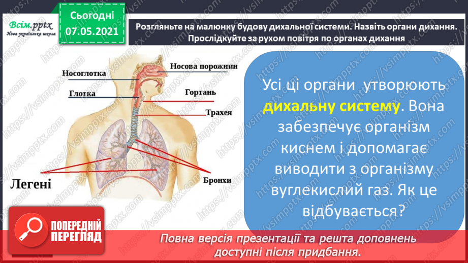 №056 - Які органи утворюють дихальну систему7 №056 - Які органи утворюють дихальну систему7