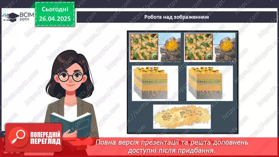 №79 - Лишайники.9 №79 - Лишайники.9