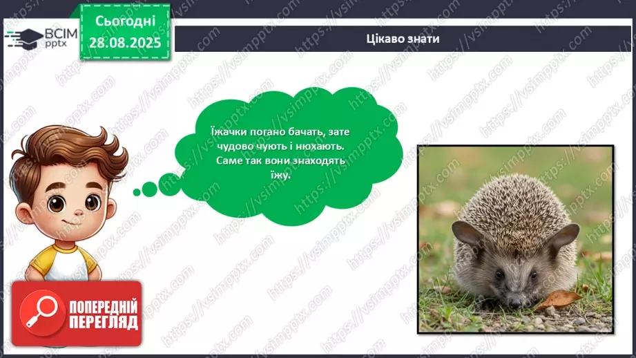 №02 - Робота із природним матеріалом. Виготовлення їжачка.17 №02 - Робота із природним матеріалом. Виготовлення їжачка.17