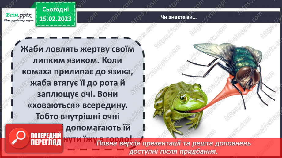 №24 - Виготовлення жабки в техніці оригамі (двосторонній папір зеленого кольору)7 №24 - Виготовлення жабки в техніці оригамі (двосторонній папір зеленого кольору)7