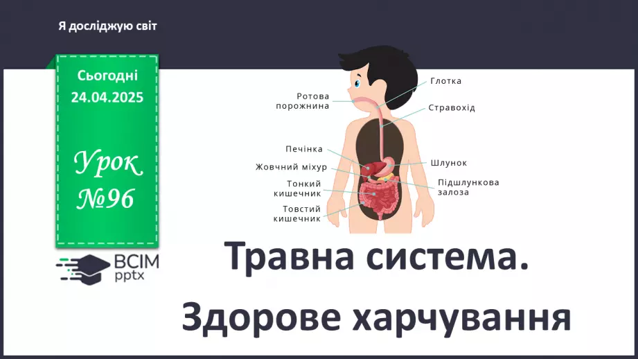 №096 - Травна система. Здорове харчування. ст.137-1390