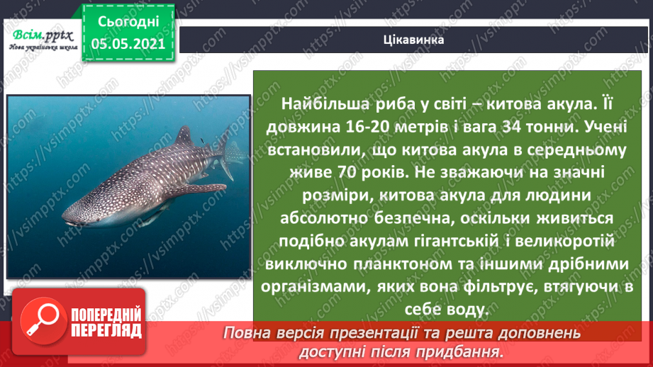 №041 - Риби.13