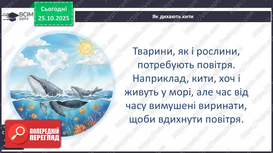 №0030 - Яка роль повітря у природі.20 №0030 - Яка роль повітря у природі.20