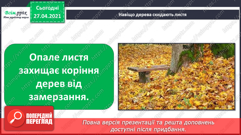 №032 - Як рослини готуються до зими9