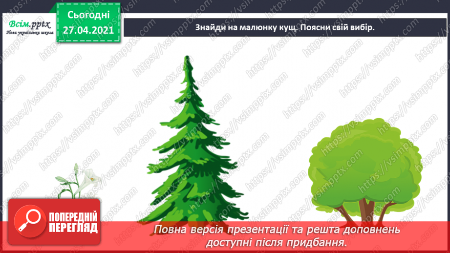 №011 - 012 - Якими бувають рослини? Як розрізняють рослини? Проводимо дослідження. Які умови потрібні рослинам для життя?22