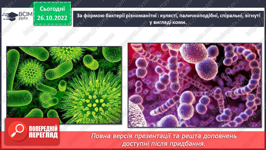№032 - Медицина Персії.11