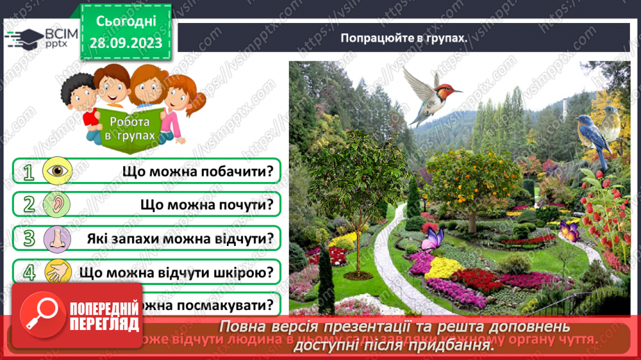 №017 - Органи чуття. Узагальнення16