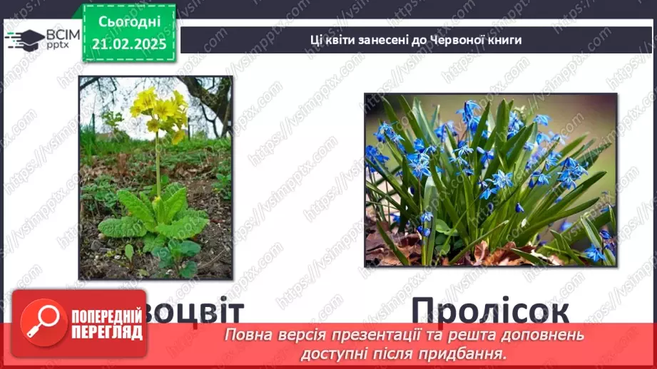 №0070 - Як почуваються рослини навесні11 №0070 - Як почуваються рослини навесні11