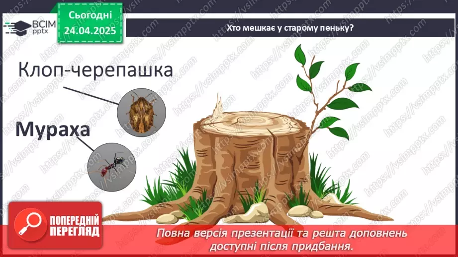 №0094 - Проект «Хто мешкає у старому пеньку?13 №0094 - Проект «Хто мешкає у старому пеньку?13