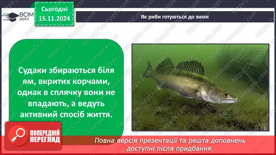 №0035 - Як риби готуються до зими6 №0035 - Як риби готуються до зими6