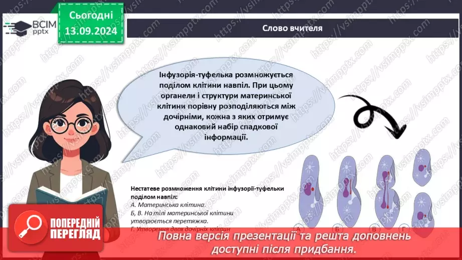 №12 - Які особливості оргнанізації клітин одноклітинних евкаріотів?15