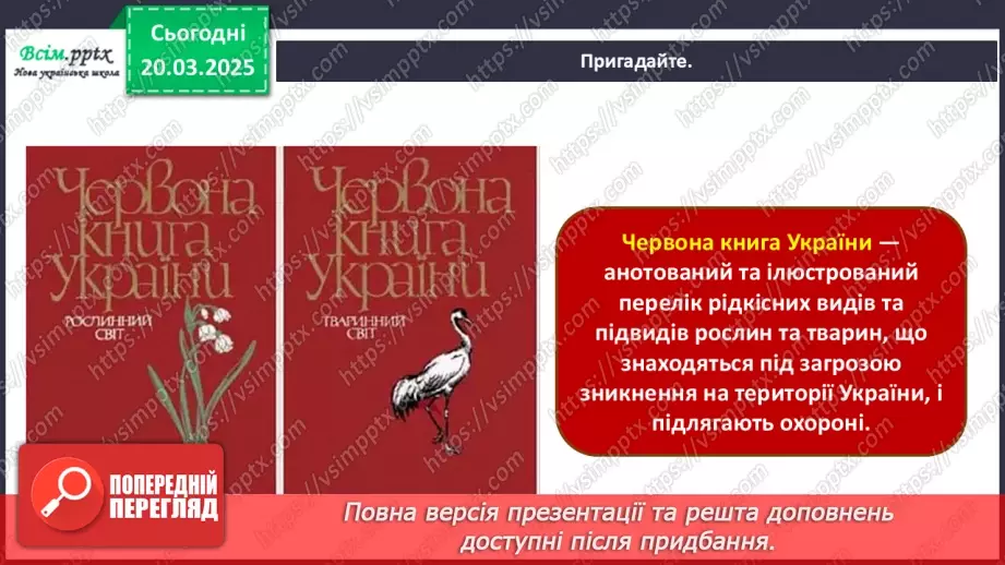 №28 - Квіткові фантазії5 №28 - Квіткові фантазії5