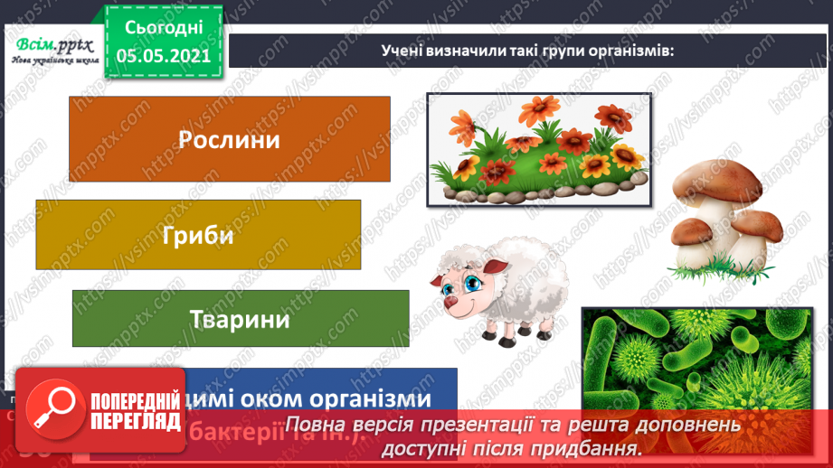 №030 - Рослини. Будова рослин11 №030 - Рослини. Будова рослин11