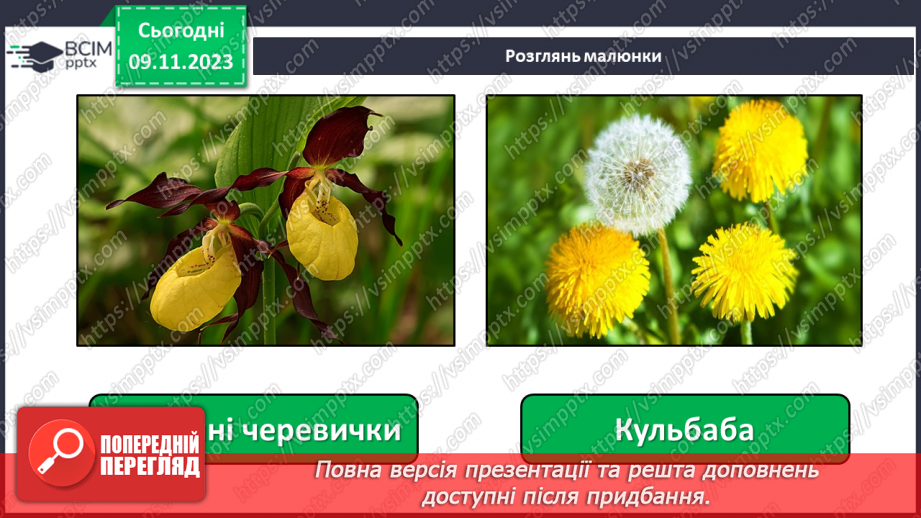 №036 - Червона книга України. Рідкісні рослини.7 №036 - Червона книга України. Рідкісні рослини.7