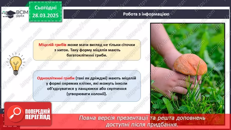 №74 - Особливості живлення та різноманіття грибів.16