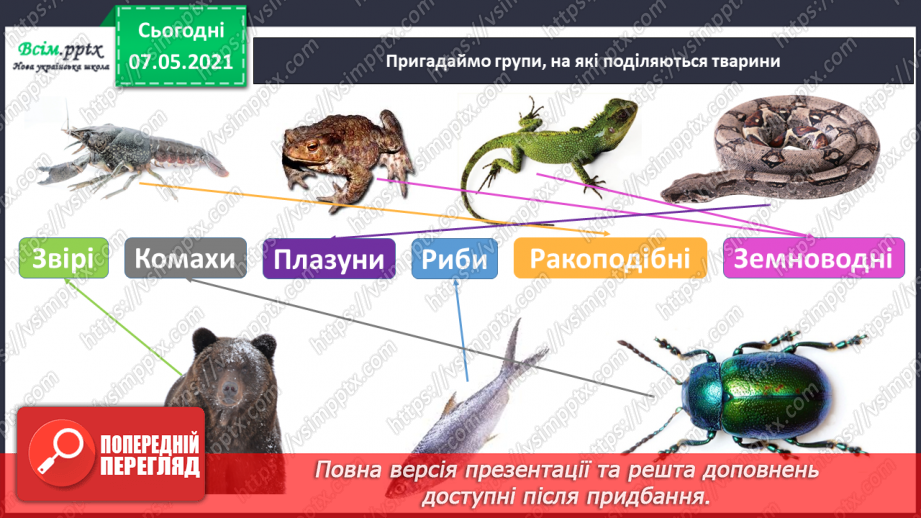 №048 - Узагальнення і систематизація знань учнів. Діагностична робота з тем «Різноманітність рослин і тварин». Підсумок за семестр.16