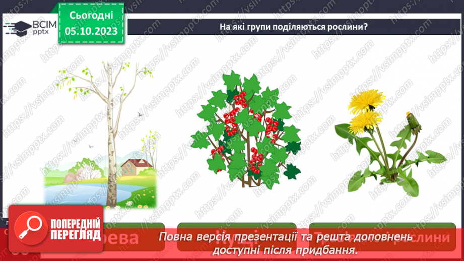 №021 - Осінні явища в житті рослин4 №021 - Осінні явища в житті рослин4