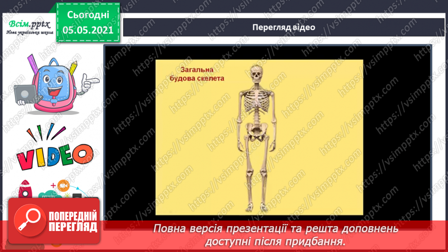 №057-58 - Скелет — опора тіла.19 №057-58 - Скелет — опора тіла.19