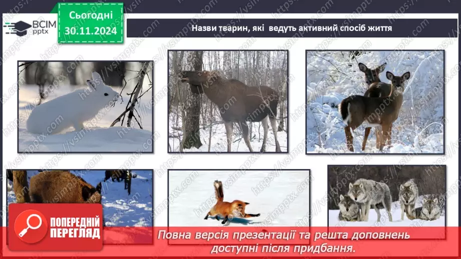 №0042 - Екскурсія. Як змінилась природа взимку.20 №0042 - Екскурсія. Як змінилась природа взимку.20