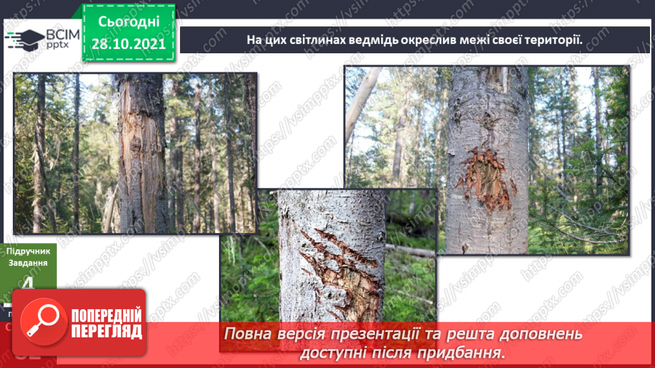 №033 - Де межі мого особистого простору? Створення схеми «Мій особистий простір».15 №033 - Де межі мого особистого простору? Створення схеми «Мій особистий простір».15