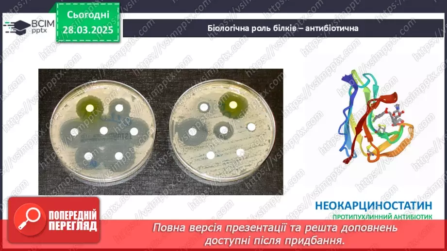 №29-30 - Білки.22 №29-30 - Білки.22
