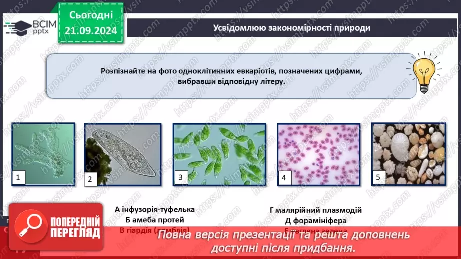 №15 - Узагальнення вивченого з теми «Одноклітинні евкаріоти цілісні організми».9