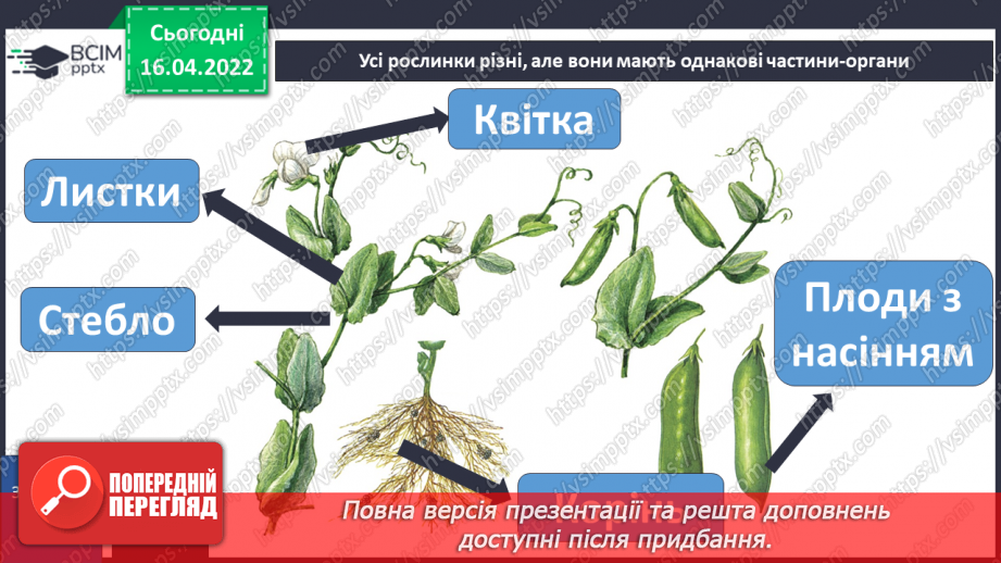 №089 - Рослинництво в рідному краї.24