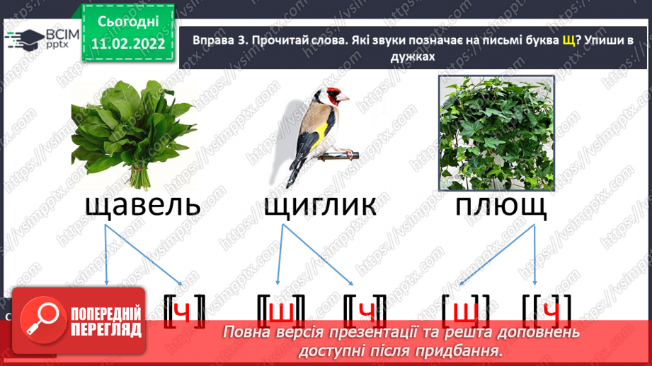 №162 - Письмо рядкової букви щ. Списування з друкованого тексту. Урок розвитку зв’язного мовлення. Театралізація казки «Дві білки».7 №162 - Письмо рядкової букви щ. Списування з друкованого тексту. Урок розвитку зв’язного мовлення. Театралізація казки «Дві білки».7