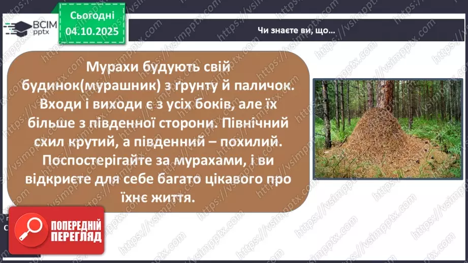 №0019 - Як провести спостереження.30 №0019 - Як провести спостереження.30