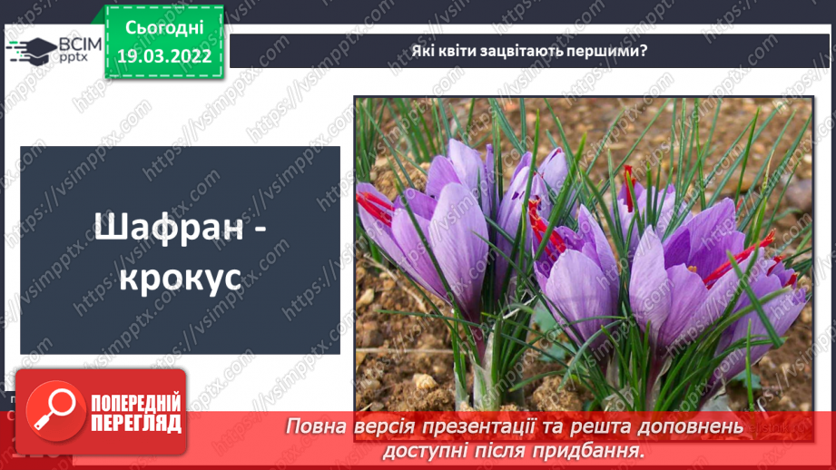 №078 - Природні зони України. Мішані та широколисті ліси.10 №078 - Природні зони України. Мішані та широколисті ліси.10